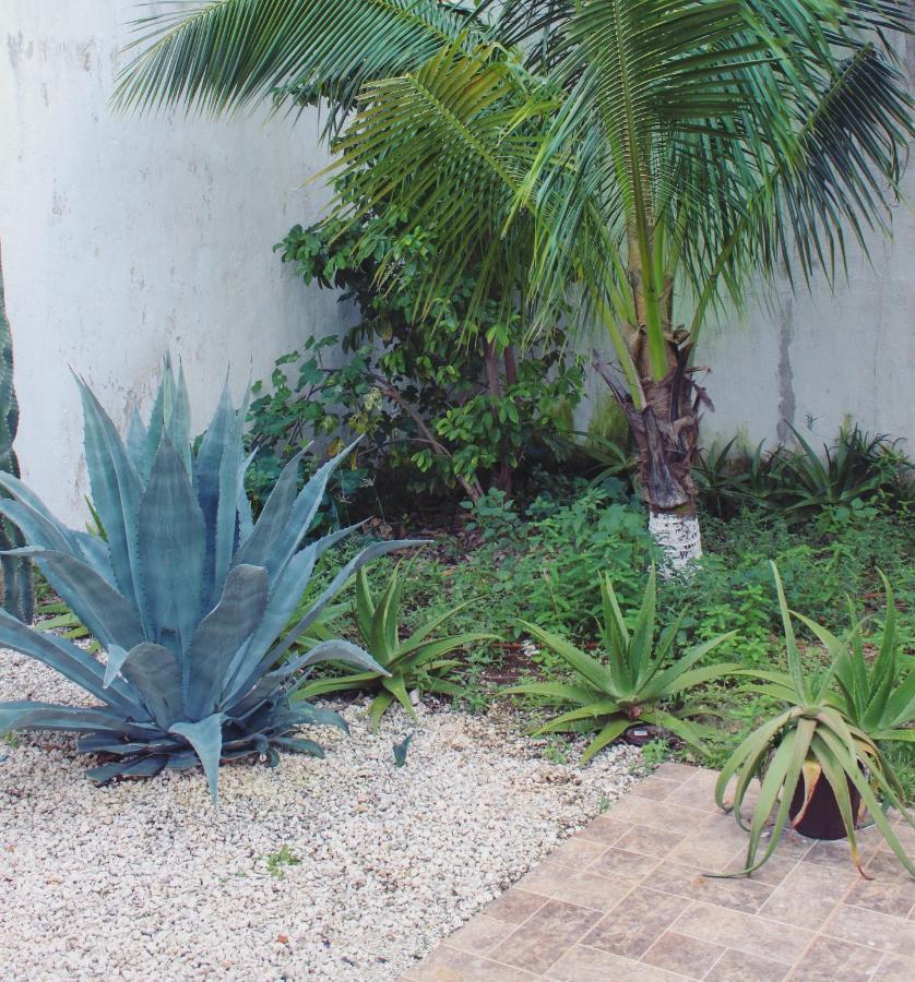 Rooms In Cancun Airport Dış mekan fotoğraf